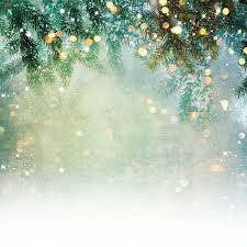 Nature Background With Lighten Bokeh Christmas Picture Background Photo Backdrop Christmas Christmas Backdrops