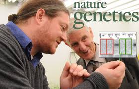 Why Nature Genetics overlooks Voinnet cheatings