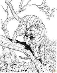 Most of the princesses are of disney classic animation such as cinderella, aurora, snow white, belle, jasmine, and the little mermaid ariel. 25 Creative Photo Of Jungle Coloring Pages Albanysinsanity Com Jungle Coloring Pages Animal Coloring Pages Tiger Coloring