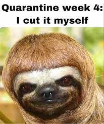 About 7,190 results (0.53 seconds). 26 Memes For All The Women Who Could Use A Laugh While On Lockdown Funny Pictures Monkeys Funny Hilarious
