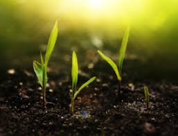 Image result for site:byggahus.se grus till infiltration