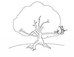 Free Printable Tree Coloring Pages For Kids In 2020 Tree Coloring Page Coloring Pages Love Coloring Pages