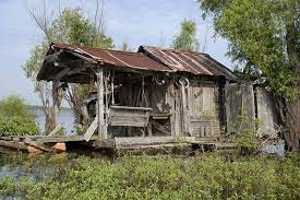 Henderson Swamp Shack Louisiana Swamp Louisiana Bayou Swamp
