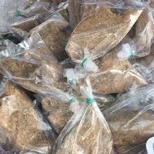 Ikan goreng dengan acar kuning biasanya disajikan di momen istimewa. Ikan Pekasam Beras Goreng Ikan Lampam Shopee Malaysia