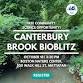 Canterbury Brook BioBlitz — Charles River event image