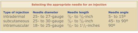 29 High Quality Injection Needle Sizes Chart