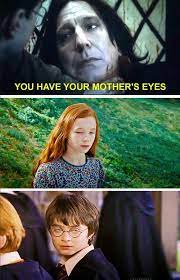 Insanely Funny Harry Potter Memes Will Knock You Down From A Broom Ride Swish Today Harryp Harry Potter Memes Hilarious Harry Potter Jokes Harry Potter Love