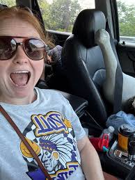 What paint to use for a porch goose?