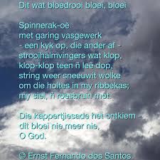 Die wêreld se heel mooistes. Gedigte Bladsy 17 Roekeloos