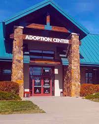 He's a regular here at humane society of the pikes peak region and takes advantage of all of the services we have to offer. About Us Humane Society Of The Pikes Peak Region