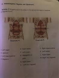 Understanding the nine regions and four quadrants of your abdomen can help pinpoint possible origins and identify associated ailments. D Abdominopelvic Regions And Quadrants Activity 7 Chegg Com