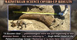 What was the original amount of carbon in the atmosphere? Carbon Dating Dinosaur Fossils