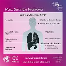 Sepsis is a serious illness and can lead to a life threatening condition called septic shock. What Is Sepsis World Sepsis Day September 13