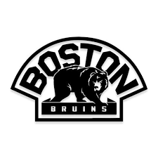 Professional nhl hockey player celebrate goal. Nhl Boston Bruins Logo Decal Sticker With Bear Decalfly