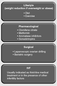 Image result for Anovulation