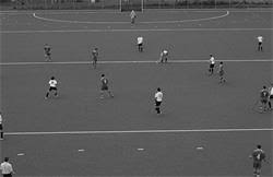 Zu unterscheiden sind die normen für feldhockey im außenbereich und jene für hallenhockey. Tophockey Der Kunstrasen Fur Das Hockeyfeld Tophockey Der Kunstrasen Fur Das Hockeyfeld Dieses Spitzenprodukt Bietet Eine Ungeahnte Langlebigkeit Die Kunststofffaser Ist Abriebfest Und Langlebig Selbst Die Starksten Feger Mit Harten