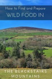 How To Find And Prepare Wild Food In The Blackstairs Mountains Of Ireland