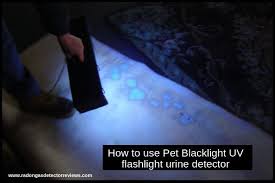 Best Pet Backlight Uv Flashlight Urine Detector For Cat And Dog Stains Review