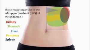 Acute And Chronic Left Upper Luq Abdominal Pain Diagnosis Healthhype Com