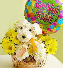 We did not find results for: Sick As A Dog From 1 800 Flowers Com In 2021 Get Well Flowers Animal Flower Arrangements Puppy Flowers