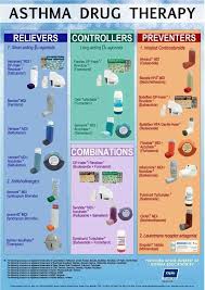Check spelling or type a new query. 9 Asthma Ideas Asthma Asthma Treatment Asthma Remedies