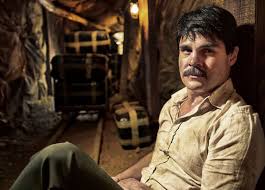 En «el chema» serie televisiva de telemundo, aparece bajo el alias de eutimio flores alias el rojo, y su personaje es encarnado por fernando. The Cast Of The Univision Series El Chapo