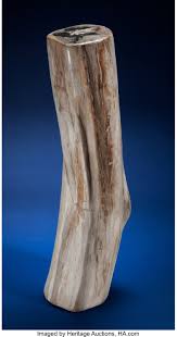 We did not find results for: Petrified Wood Log Miocene Baten Indonesia Fossils Lot 73044 Heritage Auctions