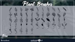 تحميل مجموعة فرش النباتات والأغصان للفوتوشوب 45 Free Plant Brushes For Photoshop
