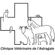 CLINIQUE VETERINAIRE DE L'ASTRAGALE