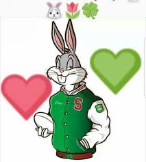 Pin By Jared Schnabl On South Sydney Rabbitohs Rabbits In Australia Rugby League Pics