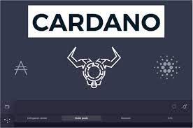 The Pros And Cons Of Staking With Cardano In 2021 Investment Advice Wellness Design Mining Pool