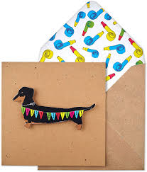 We have more than 400 free birthday cards. Birthday Dachshund Bunting Handmade Greeting Card With Party Blowers Envelope Amazon Co Uk Stationery Office Supplies