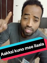 Oromo TikTok Insights and Highlights