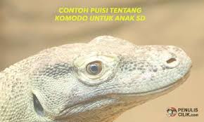 Pin Di Pelajaran Sekolah