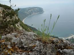 ˈmonte ˈkɔːnero) or mount conero, also known as monte d'ancona (mount of ancona), is a promontory in italy, situated directly south of the port of ancona on the adriatic sea. Datei Ancona Il Conero Jpg Wikipedia