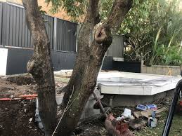 Tim Woodfield Architect