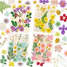 Una forma sencilla y rápida de decorar nuestra casa con estos pequeños regalos de la naturaleza!!blog. Decoraciones Florales Cual Es El Mejor Del 2021