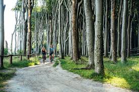 Auch Noch Im Herbst Ist Eine Radtour Durch Mv Beliebt Ganz Besonders Entlang Der Kuste Z B Auf Dem Ostseekusten Radweg Vor Zwei Ja Radtour Radfahren Touren