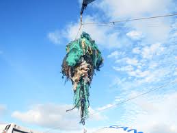 Der detailreiche globus von google earth lässt sich vielseitig nutzen: Great Pacific Garbage Patch Now Three Times The Size Of France