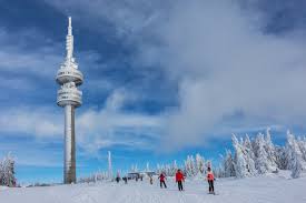 Jana cova videos on fanpop. 227 Best Snejanka Images Stock Photos Vectors Adobe Stock