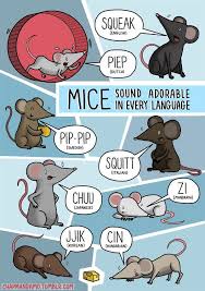 Mouse Sounds In Different Languages Animal Sounds Language European Day Of Languages