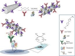 Normal range may vary somewhat according to institutional experience. Ca 15 3 Antigen An Overview Sciencedirect Topics