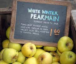 Apple pacific rose™ apple lady in red (pink lady®) apple royal gala; White Winter Pearmain Alchetron The Free Social Encyclopedia Winter White Winter Crisp Desserts