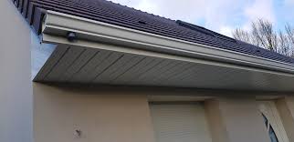 Problème avec les oiseaux sous la toiture voici comment réaliser à pas chère un cache moineau efficace et esthétique.problem with the birds under the roof. Habillage Sous Face Et Cache Moineaux De Dourdan A Arpajon