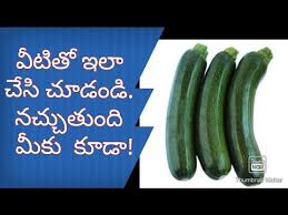 Maybe you would like to learn more about one of these? Courgette Best Zucchini Stuffed Masala Curry In Telugu How To Select Zucchini In Supermarket Youtube