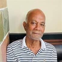 Perry A Joseph Obituary (2024)