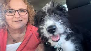 ISO mini dog no more then 10 lb. Potty trained. Thank you