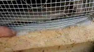 Shop for foundation vent covers at walmart.com. Repairing Foundation House Vents Youtube
