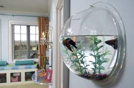Tidy children room interior with bunk bed pictures on wall aquarium with fish and toys. Pin On Just For Fun
