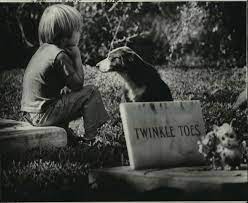 Communication from the dead is not usually blatant. 10 Ways To Communicate With The Dead According To An Expert Oregonlive Com